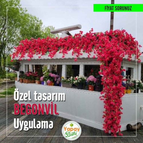 Özel Tasarım Begonvil Teklif - Al : 0535 012 36 86