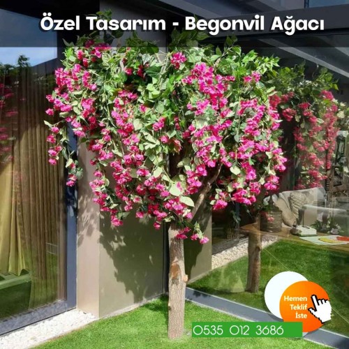 Özel Tasarım Begonvil Ağacı